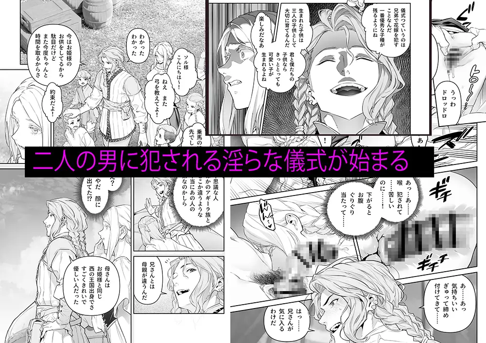 蛮族の花嫁～堕ちた姫君～